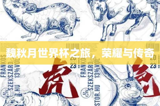 魏秋月世界杯之旅，荣耀与传奇