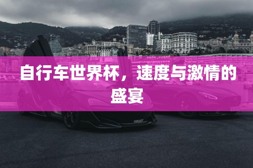 自行车世界杯，速度与激情的盛宴