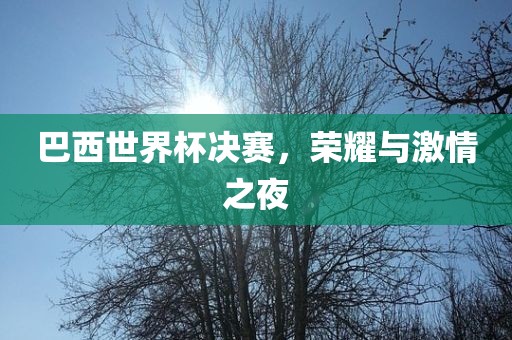 巴西世界杯决赛，荣耀与激情之夜