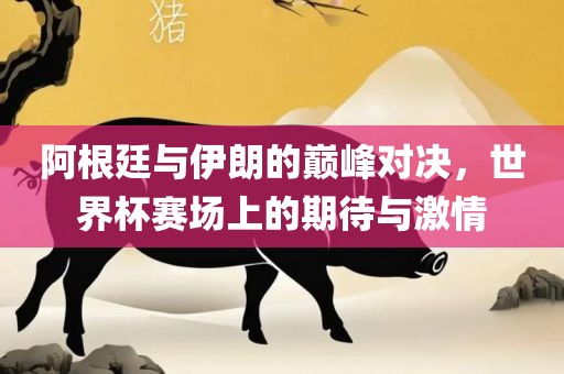 阿根廷与伊朗的巅峰对决，世界杯赛场上的期待与激情
