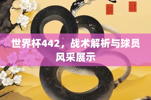 世界杯442，战术解析与球员风采展示