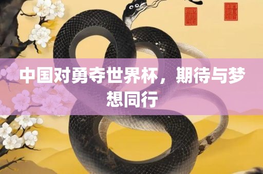 中国对勇夺世界杯，期待与梦想同行