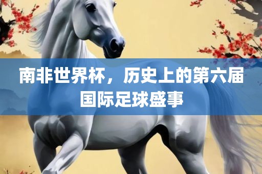 南非世界杯，历史上的第六届国际足球盛事