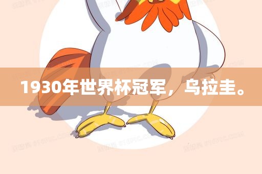 1930年世界杯冠军，乌拉圭。