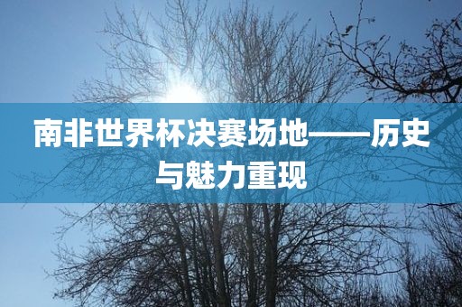 南非世界杯决赛场地——历史与魅力重现