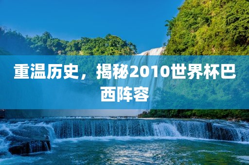 重温历史，揭秘2010世界杯巴西阵容
