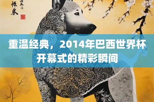重温经典，2014年巴西世界杯开幕式的精彩瞬间
