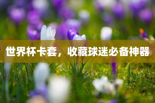 世界杯卡套，收藏球迷必备神器