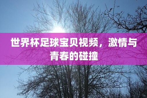 世界杯足球宝贝视频，激情与青春的碰撞