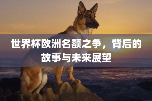 世界杯欧洲名漯河市盈旭机械设备有限公司额之争，背后的故事与未来展望