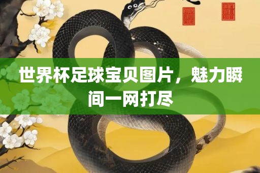世界杯足球宝贝图片，魅力瞬间一网打尽