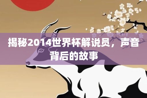 揭秘2014世界杯解说员，声音背后的故事