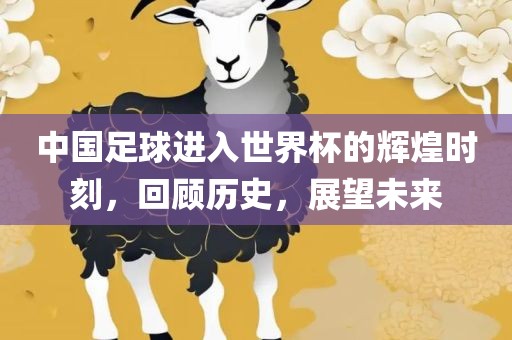 中国足球进入世界杯的辉煌时刻，回顾历史，展望未来