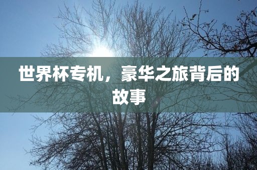 世界杯专机，豪华之旅背后的故事