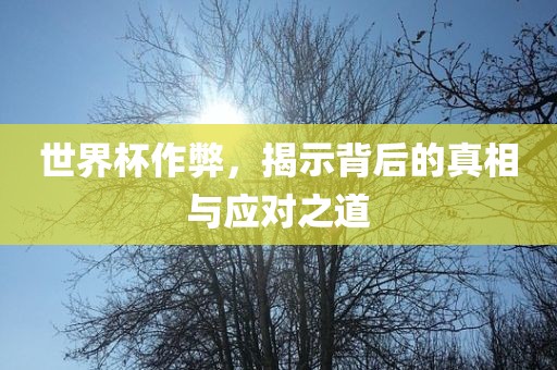 世界杯作弊，揭示背后的真相与应对之道