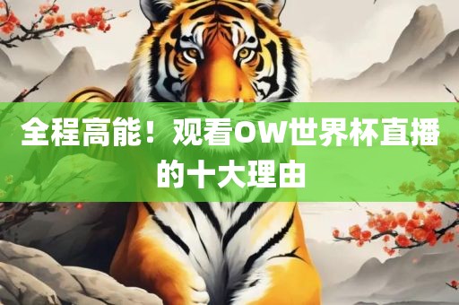 全程高能！观看OW世界杯直播的十大理由