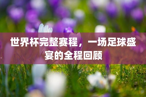 世界杯完整赛程，一场足球盛宴的全程回顾