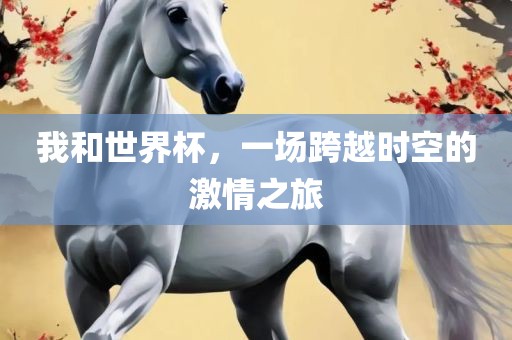 我和世界杯，一场跨越时空的激情之旅