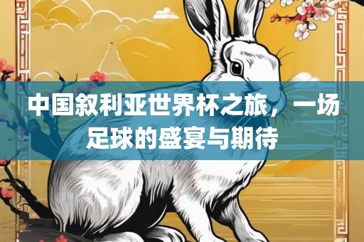 中国叙利亚世界杯之旅，一场足球的盛宴与期待
