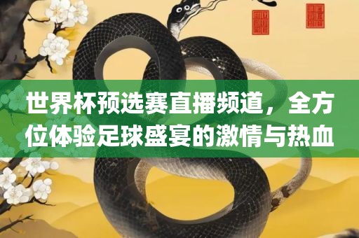 世界杯预选赛直播频道，全方位体验足球盛宴的激情与热血