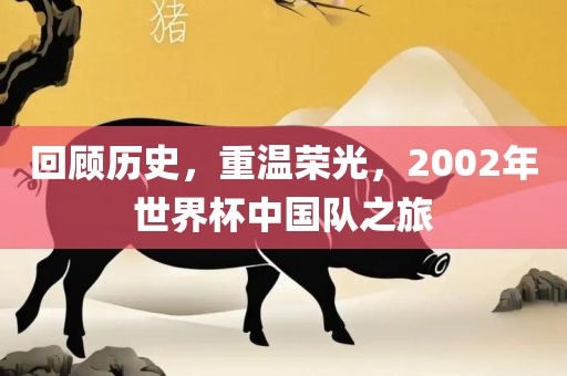 回顾历史，重温荣光，2002年世界杯中国队之旅