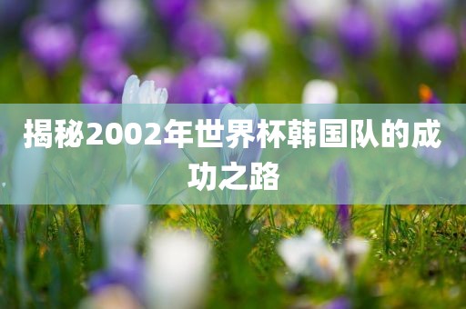 揭秘2002年世界杯韩国队的成功之路
