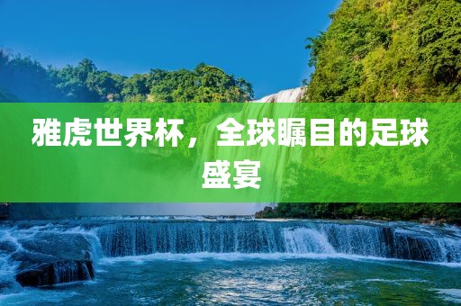 雅虎世界杯，全球瞩目的足球盛宴