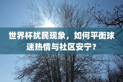 世界杯扰民现象，如何平衡球迷热情与社区安宁？