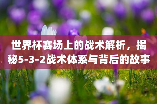 世界杯赛场上的战术解析，揭秘5-3-2战术体系与背后的故事