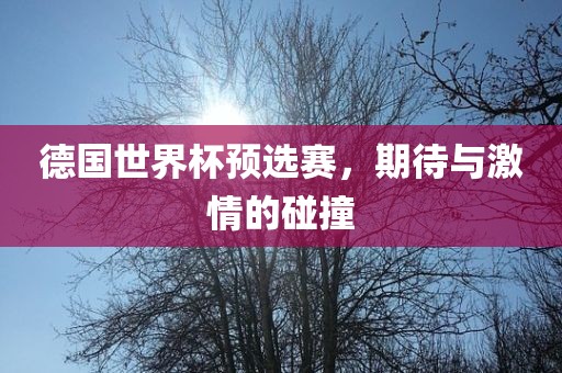 德国世界杯预选赛，期待与激情的碰撞