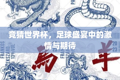 竞猜世界杯，足球盛宴中的激情与期待