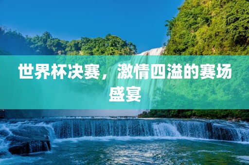 世界杯决赛，激情四溢的赛场盛宴