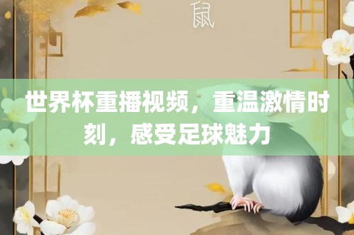 世界杯重播视频，重温激情时刻，感受足球魅力
