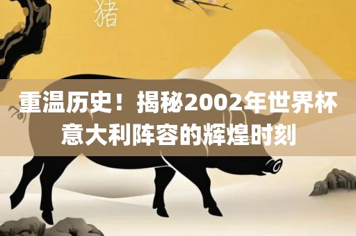 重温历史！揭秘2002年世界杯意大利阵容的辉煌时刻