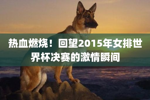 热血燃烧！回望2015年女排世界杯决赛的激情瞬间