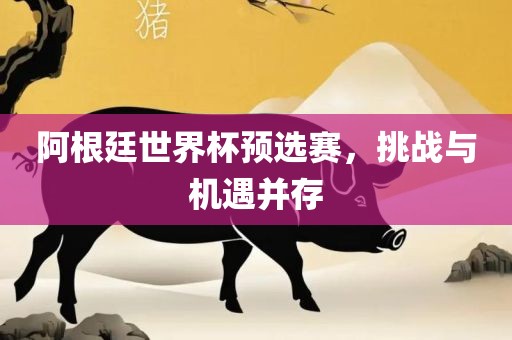 阿根廷世界杯预选赛，挑战与机遇并存