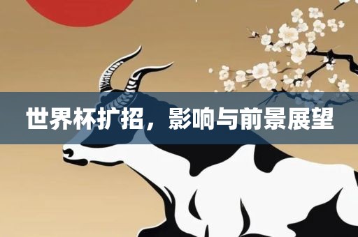 世界杯扩招，影响与前景展望