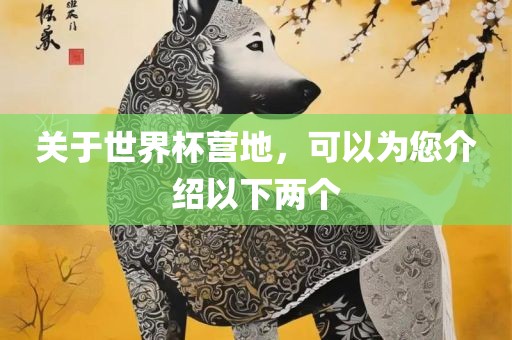 关于世界杯营地，可以为您介绍以下两个
