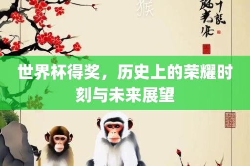 世界杯得奖，历史上的荣耀时刻与未来展望