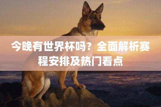 今晚有世界杯吗？全面解析赛程安排及热门看点漯河市盈旭机械设备有限公司