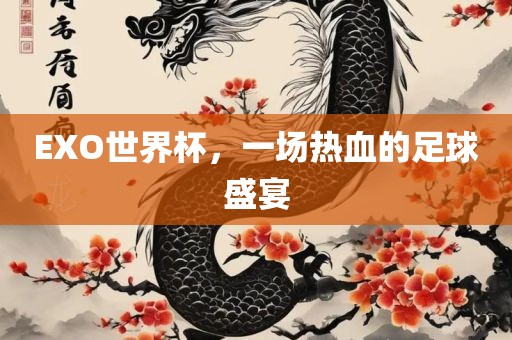 EXO世界杯，一场热血的足球盛宴
