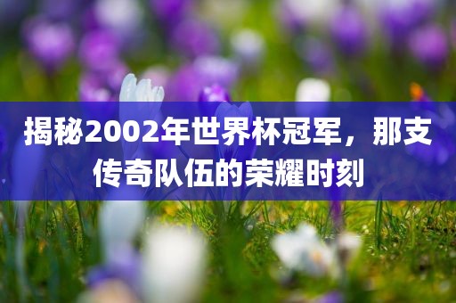 揭秘2002年世界杯冠军，那支传奇队伍的荣耀时刻