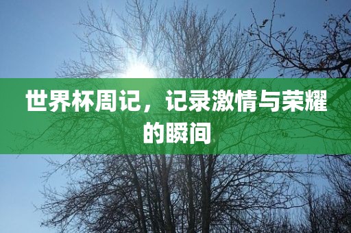 世界杯周记，记录激情与荣耀的瞬间