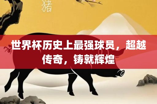 世界杯历史上最强球员，超越传奇，铸就辉煌