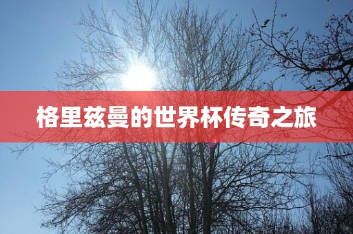 格里兹曼的世界杯传奇之旅