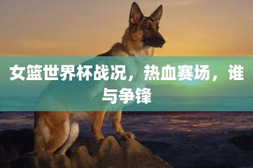 女篮世界杯战况，热血赛场，谁与争锋