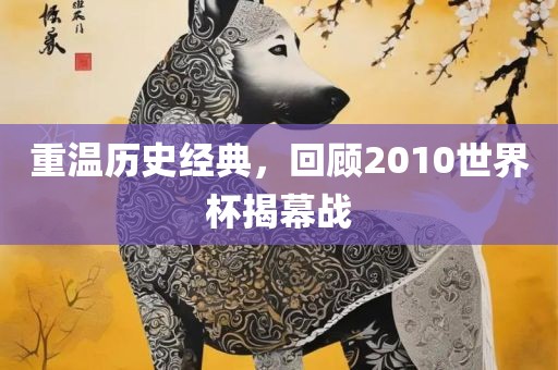 重温历史经典，回顾2010世界杯揭幕战