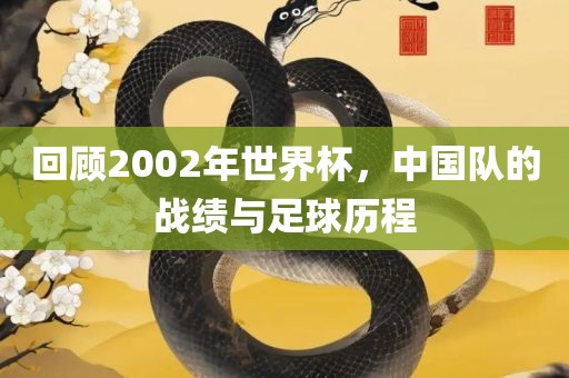 回顾2002年世界杯，中国队的战绩与足球历程
