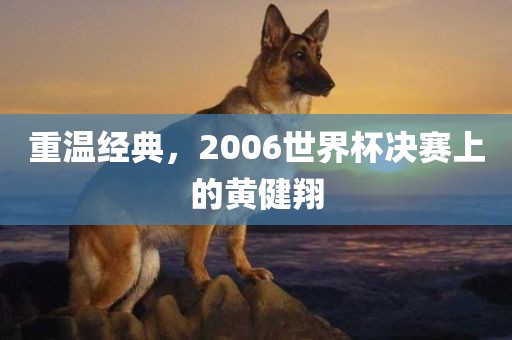 重温经典，2006世界杯决赛上的黄健翔