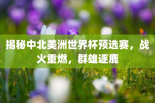 揭秘中北美洲世界杯预选赛，战火重燃，群雄逐鹿